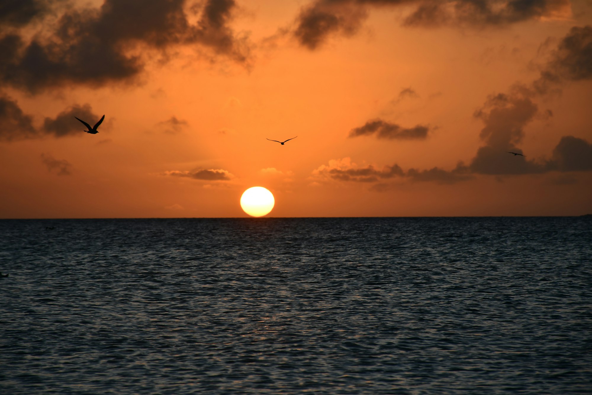 Amanecer venezolano sobre el mar